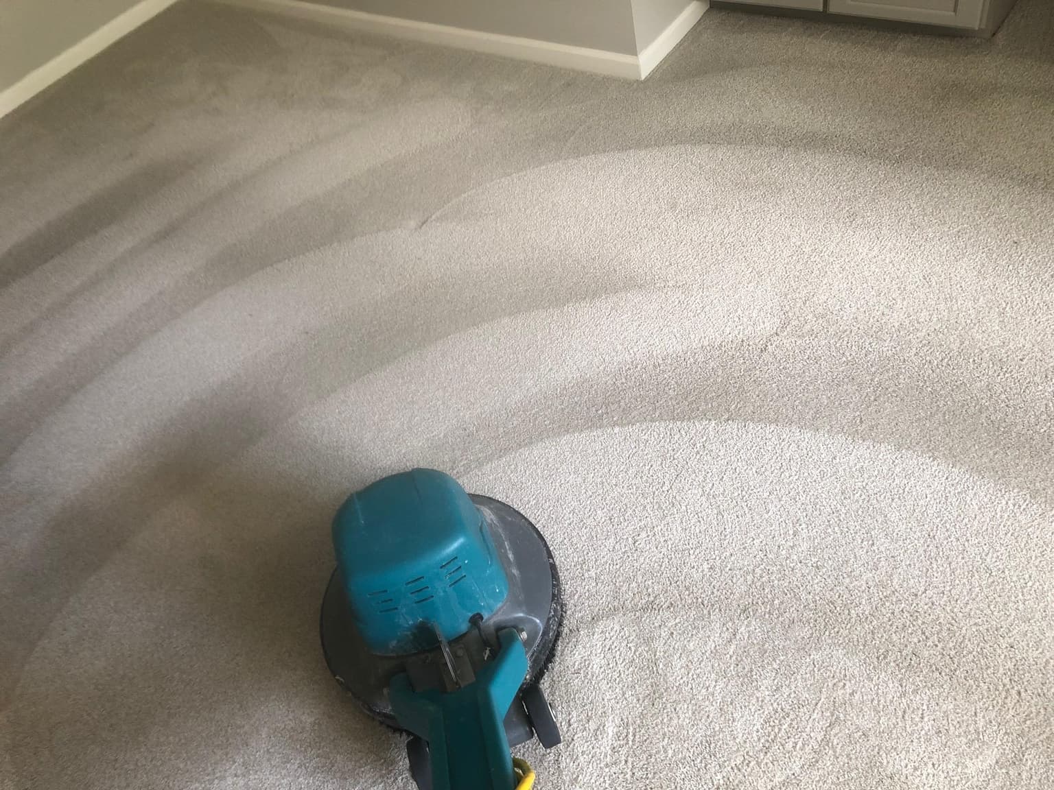 Carpet cleaning in Gladeville, TN