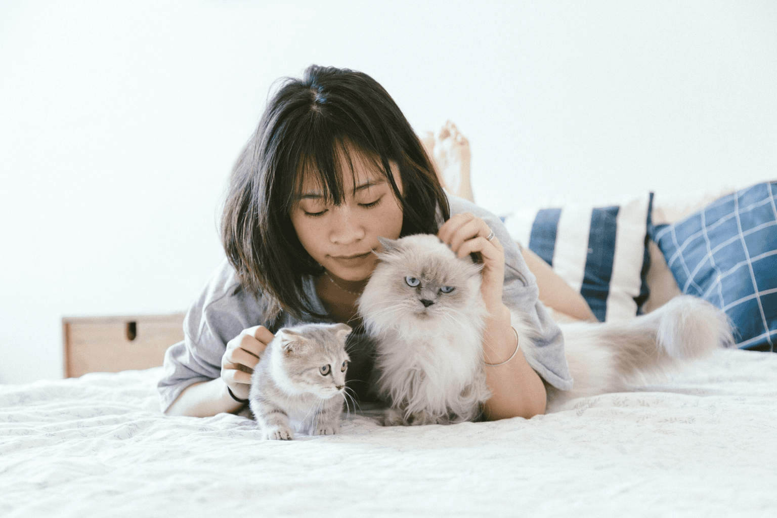 Carpet cleaning in Norene, TN