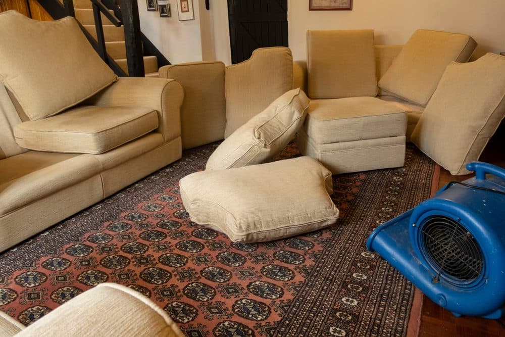 Why Our Carpets Dry in About an Hour (and Steam Cleaning Doesn't)